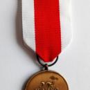 Brązowy Medal „Za zasługi dla obronności kraju” rewers (wzór od 1991)